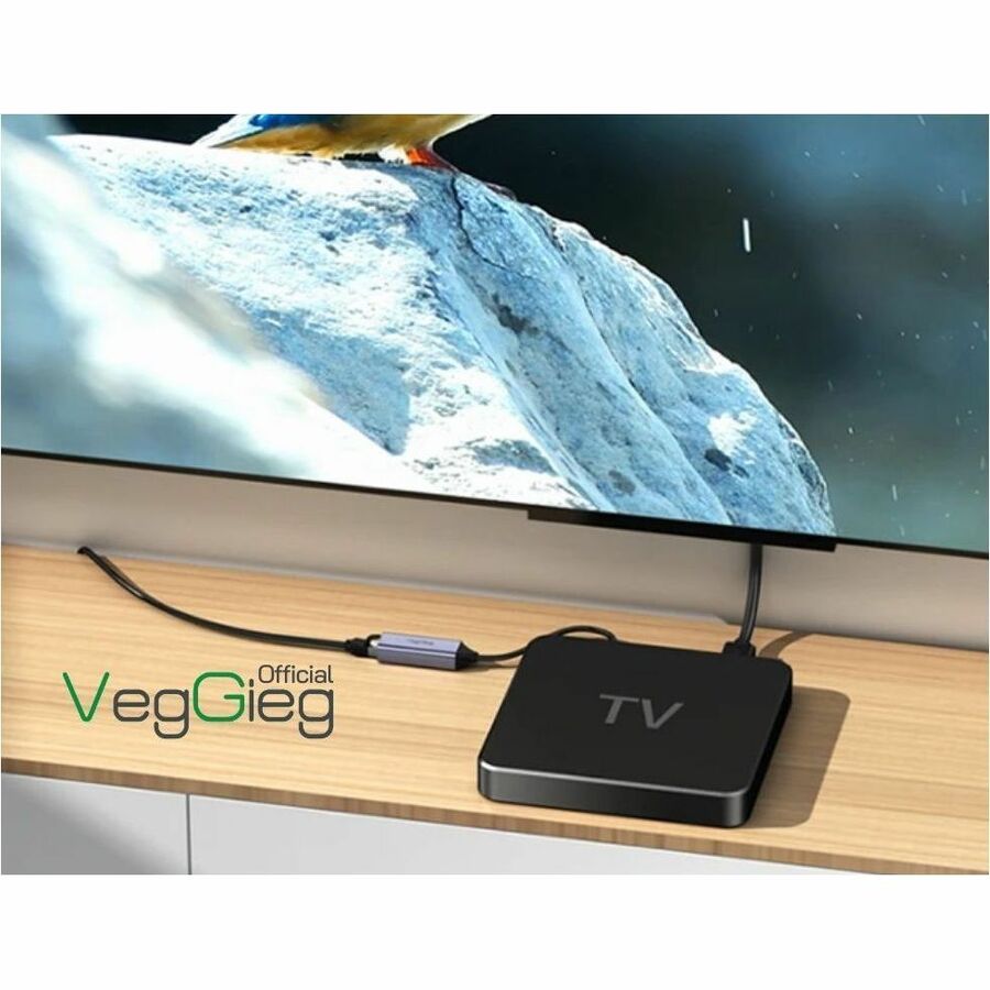 Veggieg USB C to Ethernet Adapter